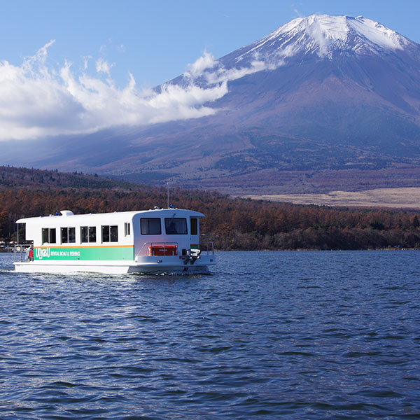 座椅子から楽々と!